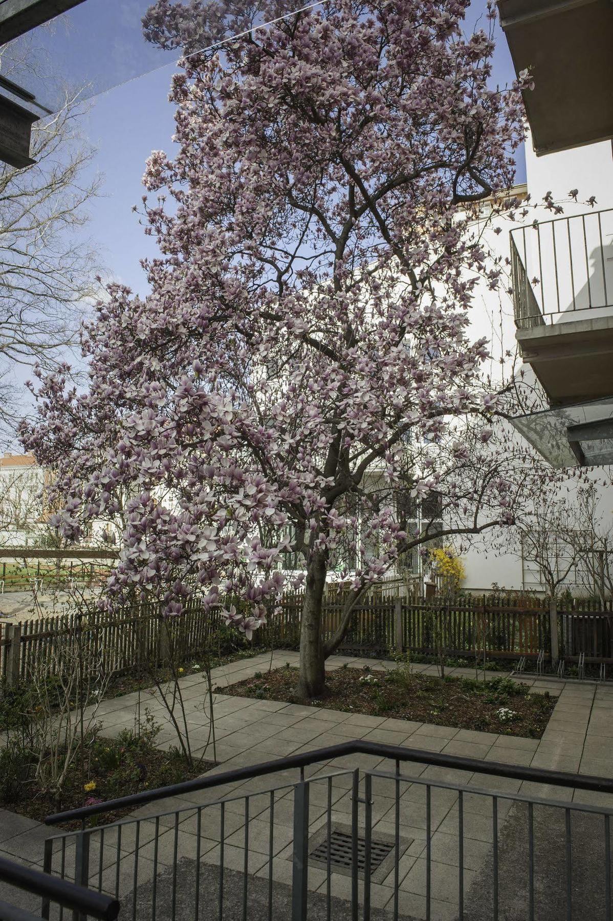 Haus Mobene - Hotel Garni Graz Exterior foto